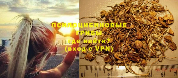 mdpv Белокуриха