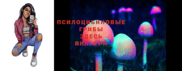 mdma Богданович